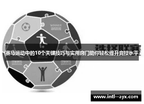 赛马运动中的10个关键技巧与实用窍门助你轻松提升竞技水平
