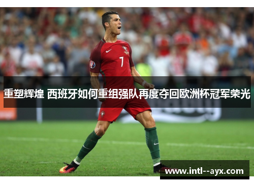 重塑辉煌 西班牙如何重组强队再度夺回欧洲杯冠军荣光 重塑辉煌 西班牙如何重组强队再度夺回欧洲杯冠军荣光