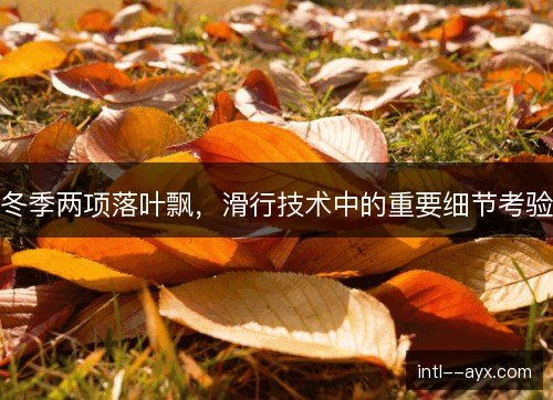 冬季两项落叶飘，滑行技术中的重要细节考验